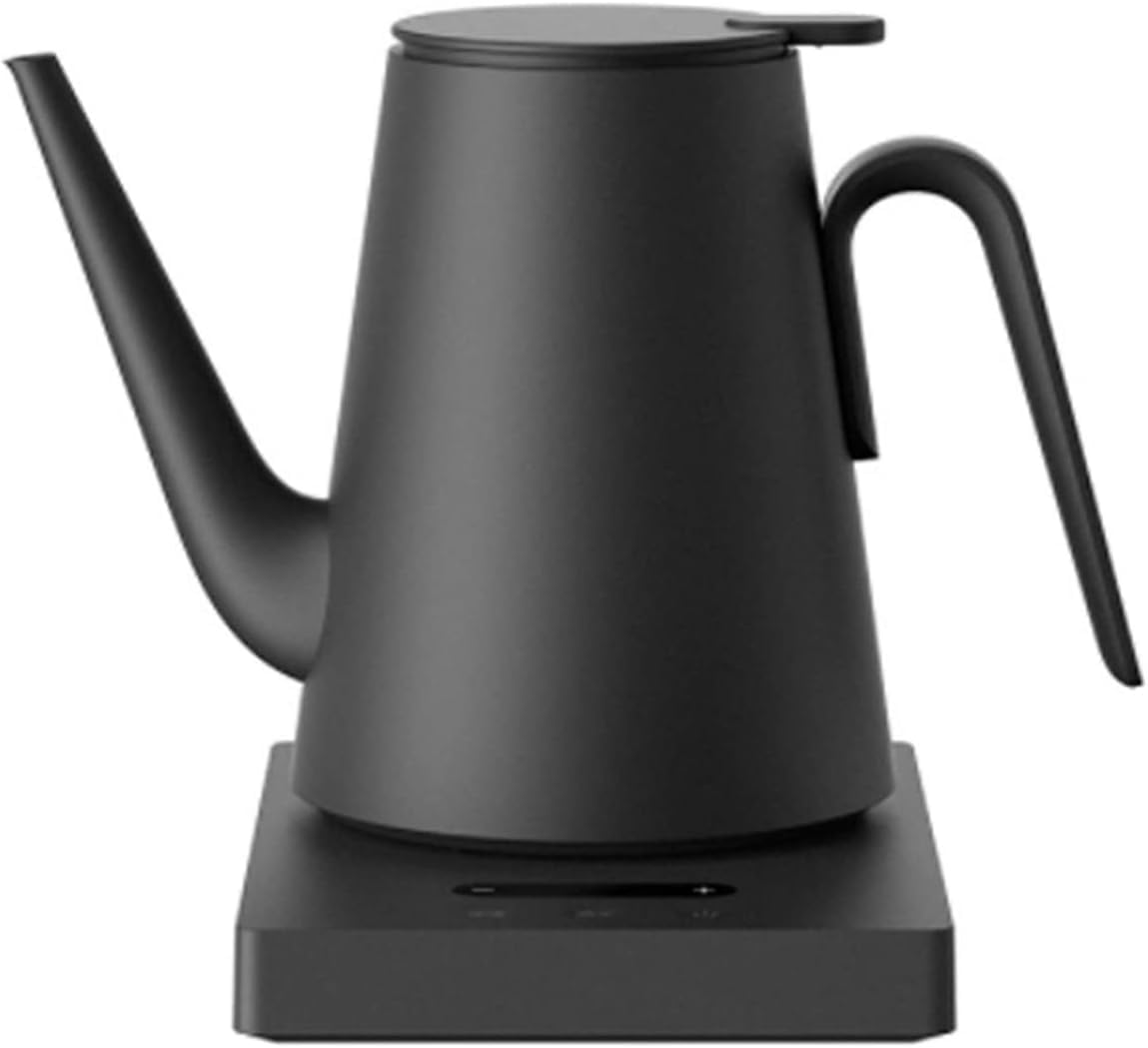 Temperature-Controlled Electric Tea & Coffee Kettle
