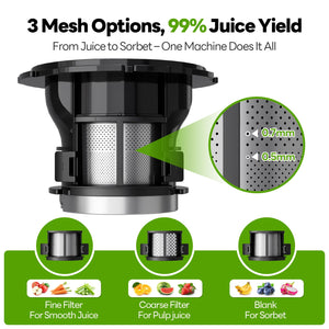 ECOSELF Juicer Machines, With Recipe Cold Press Juicer 6.0" Feed Chute