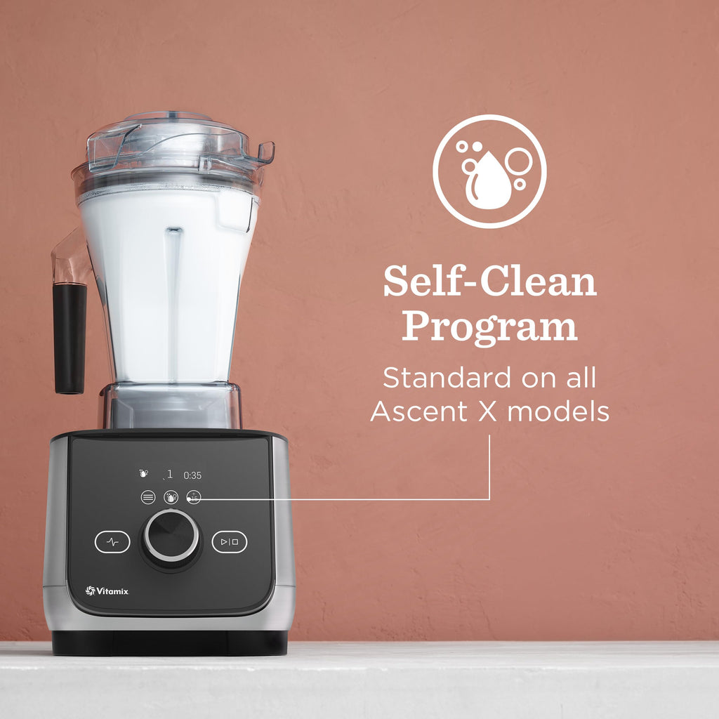 48 oz Professional Blender with 5 Preset Programs