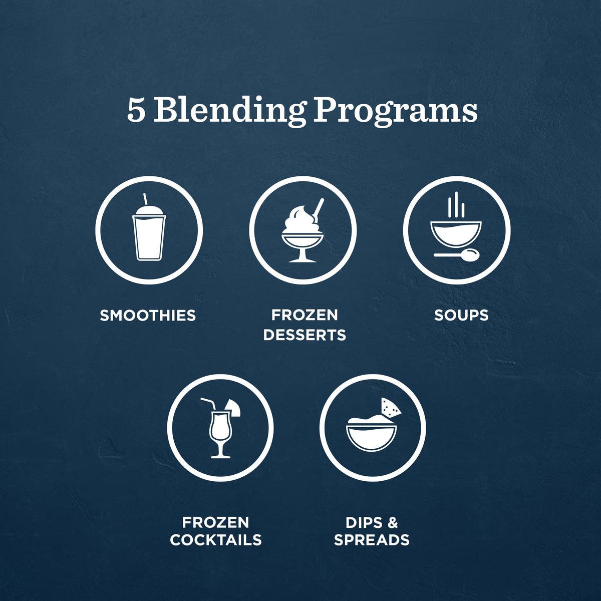 48 oz Professional Blender with 5 Preset Programs
