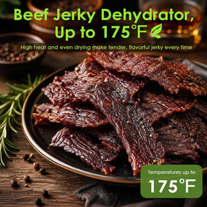 HOPERAN Dual Zone Food Dehydrator, Stainless Steel Trays, Keep Warm Mode